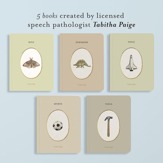 Our Little Library Vol. 3: Dinosaurs, Space, Tools, Bugs, and Sports Board Book