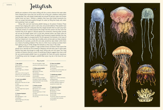 Oceanarium: Welcome to the Museum Hardcover