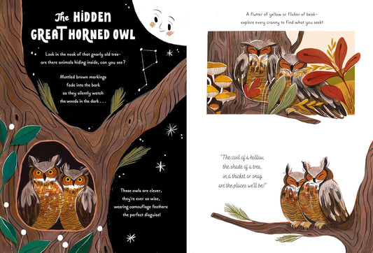 5 Minute Nature Stories