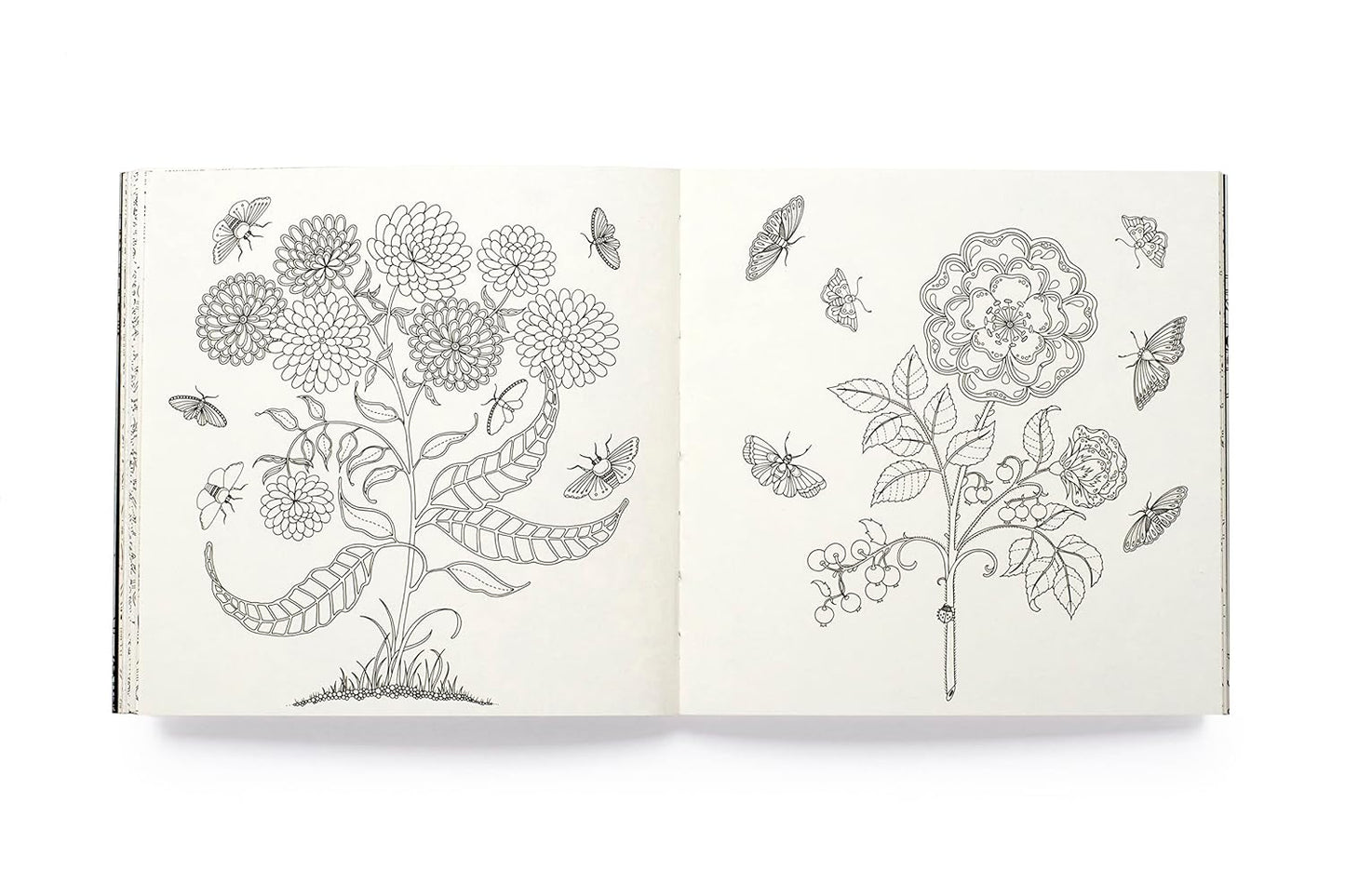 Miniature Secret Garden: A pocket-sized coloring book