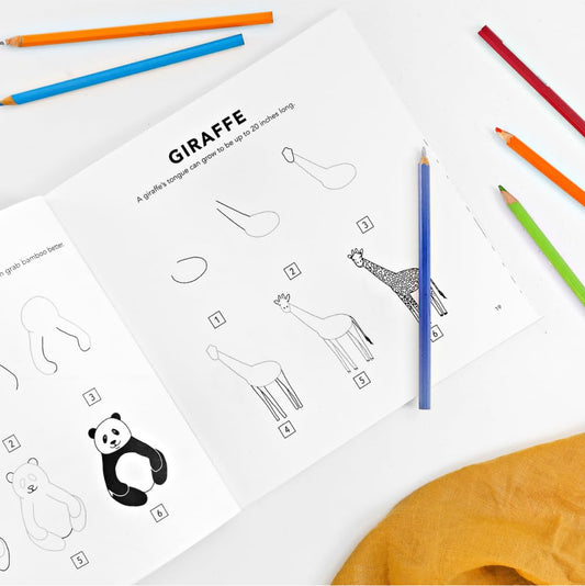 How to Draw All the Animals for Kids
