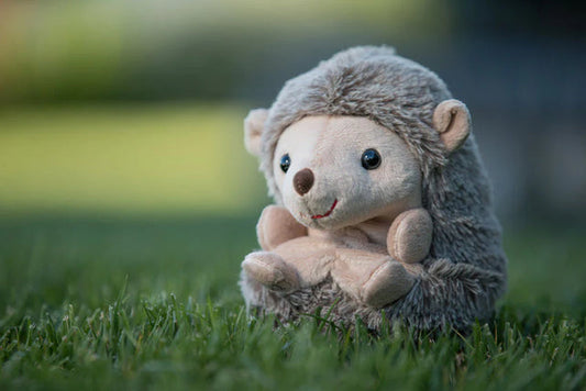 Bukowski Hubert Sitting