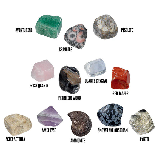 I Dig It! Rocks! Fossils! Excavation kit