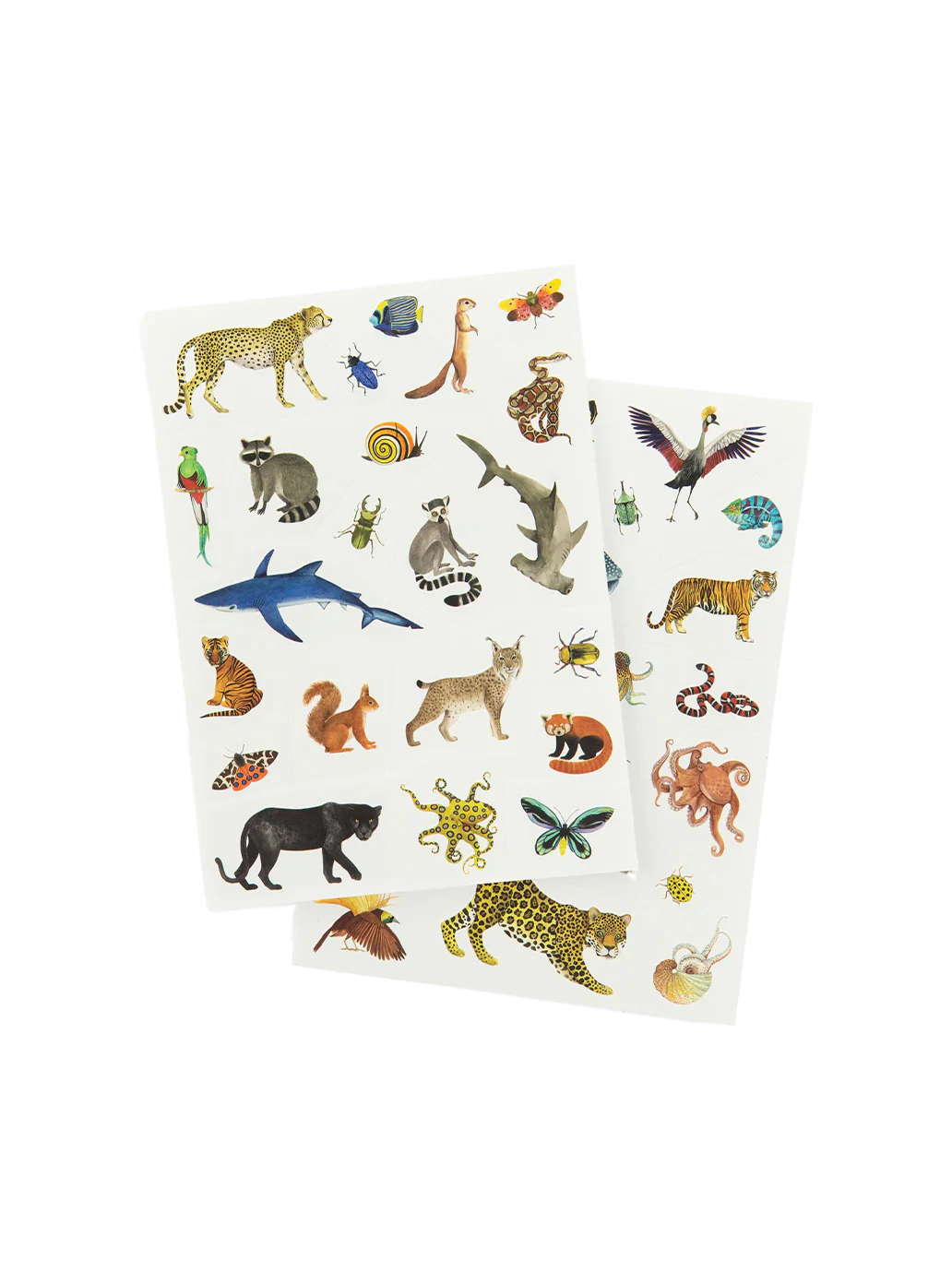 Animal Tattoos - Moulin Roty