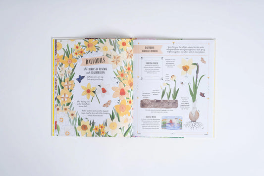 Grow: A Family Guide to Plants and How to Grow Them