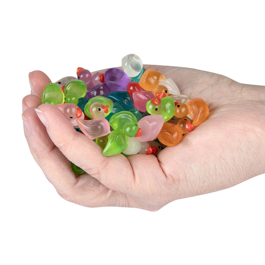 Ord Teeny Tiny Ducks (40 pcs)