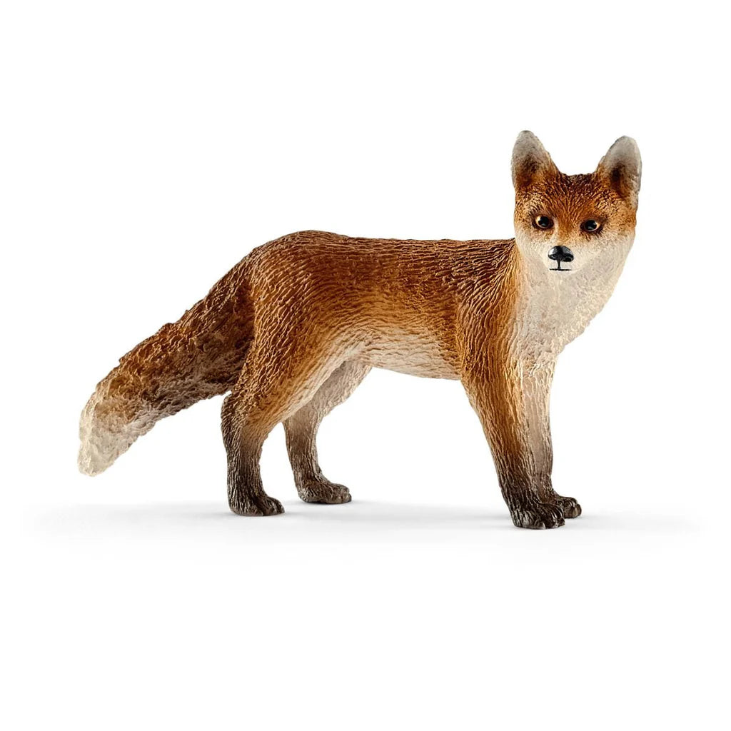 Schliech Fox