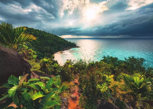 Hawaii Heaven - 1000 pcs