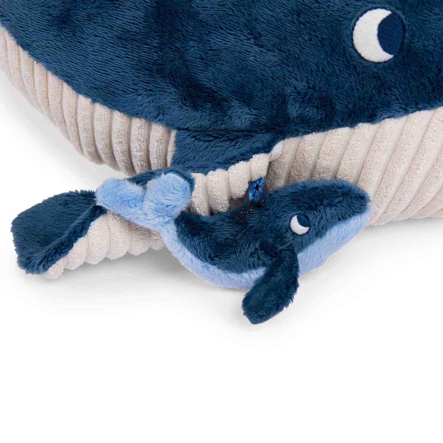 Aventures de Paulie - Large Activity Whale
