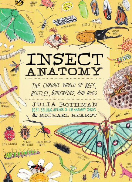 Insect Anatomy The Curious World of Bees, Beetles, Butterflies, and Bugs Anatomy