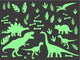 Dino Everyday Set