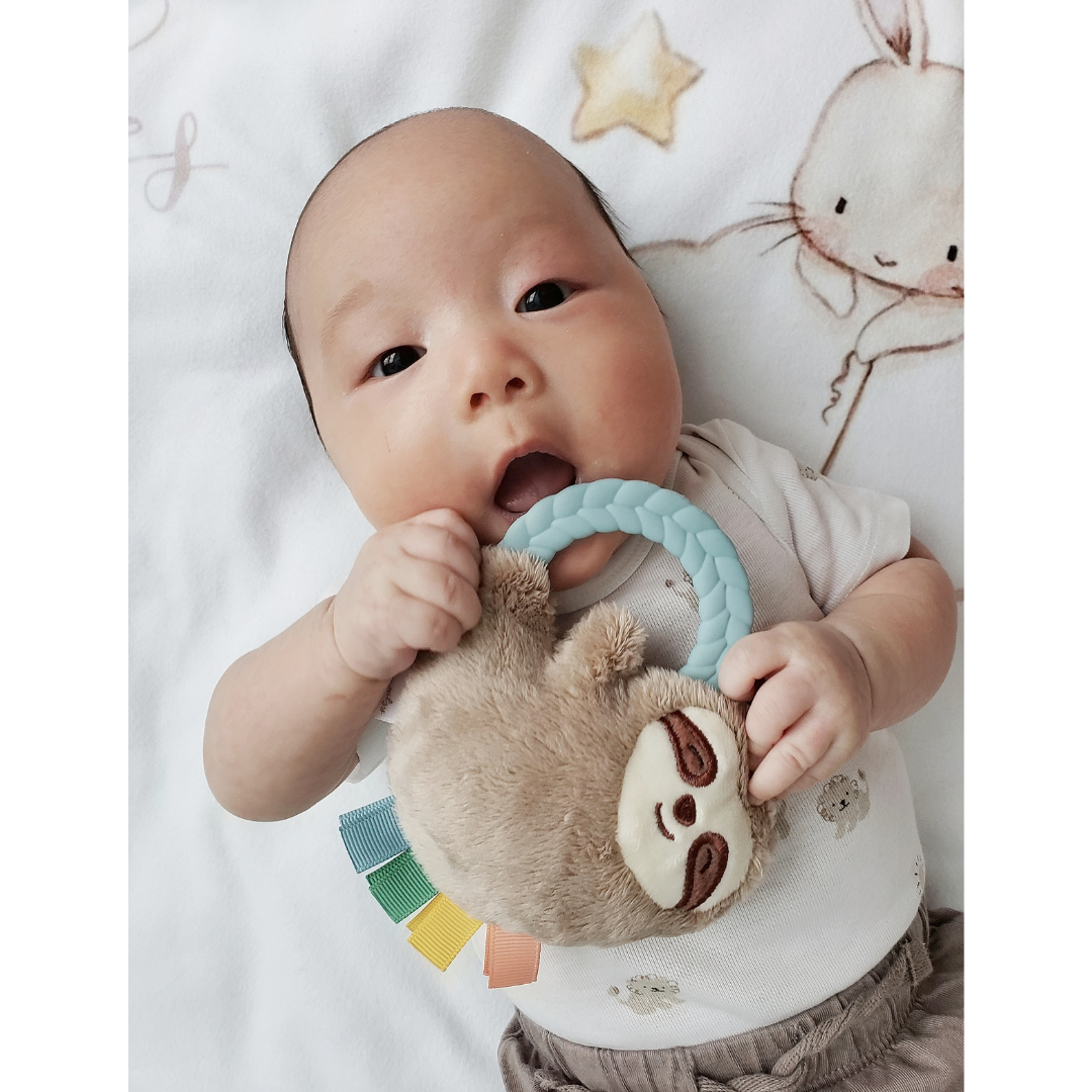 Ritzy Rattle Pal™ Plush Rattle Pal With Teether