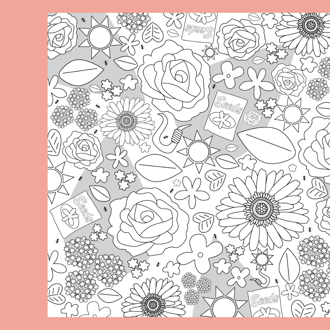 Garden Mini Colouring Poster