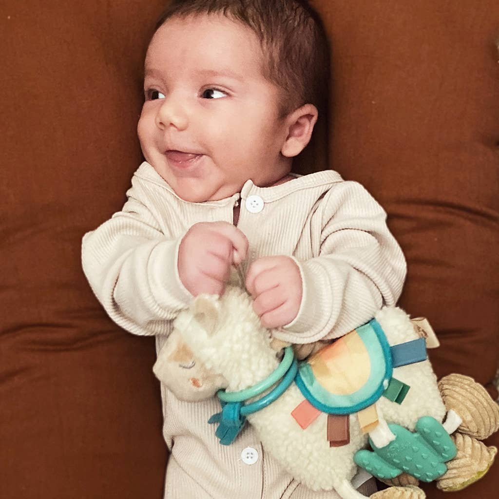 Itzy Friends Link & Love™ Activity Plush With Teether Toy