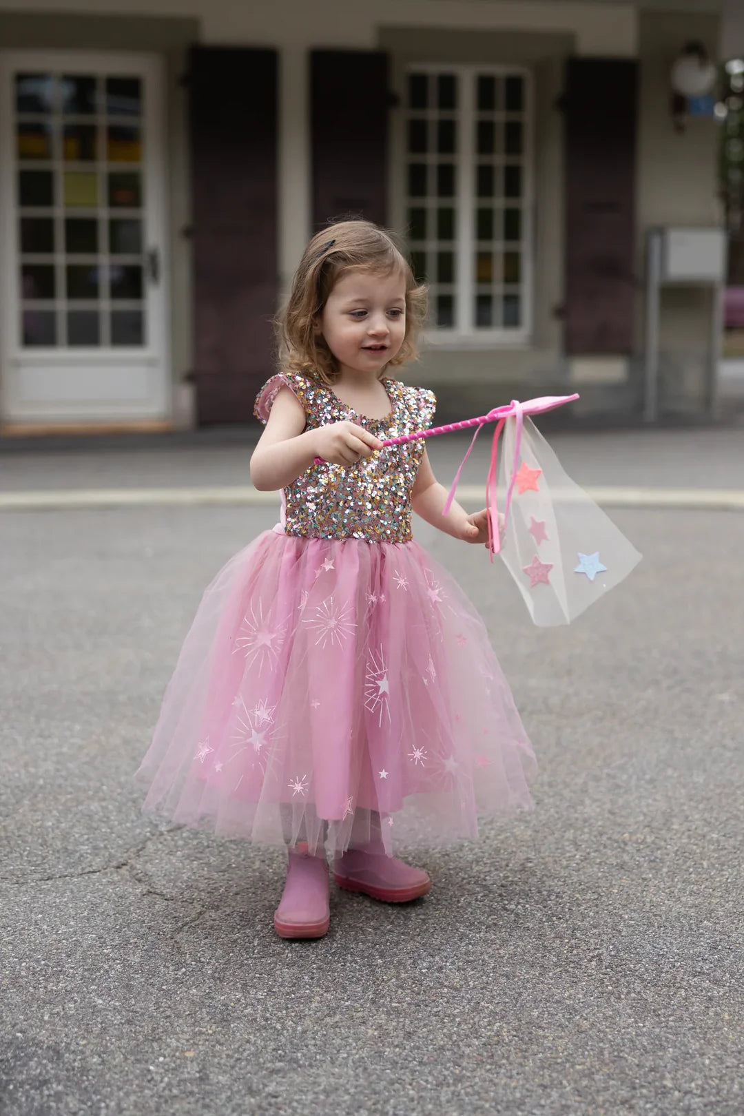 A Star is Born Sequins Dress