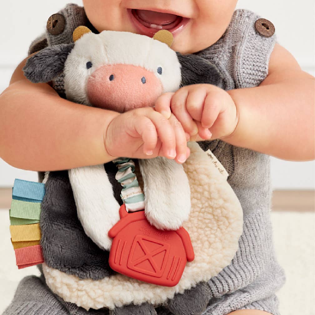 Itzy Friends Lovey™ Plush