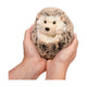 Douglas Toys - Spunky Hedgehog, Small