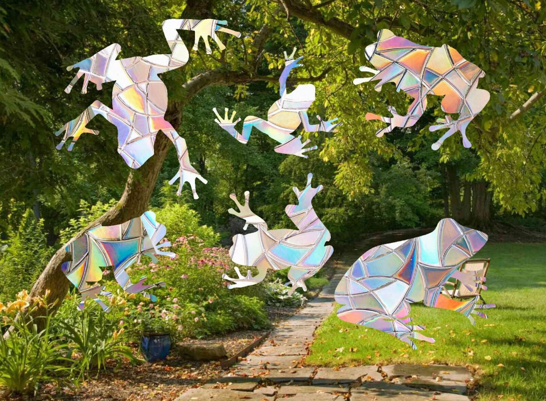 Frog Shape Suncatcher Pack