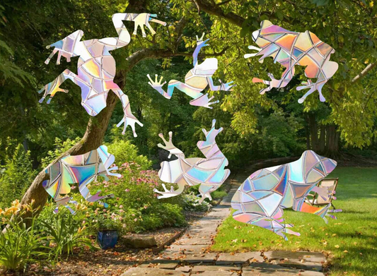 Frog Shape Suncatcher Pack