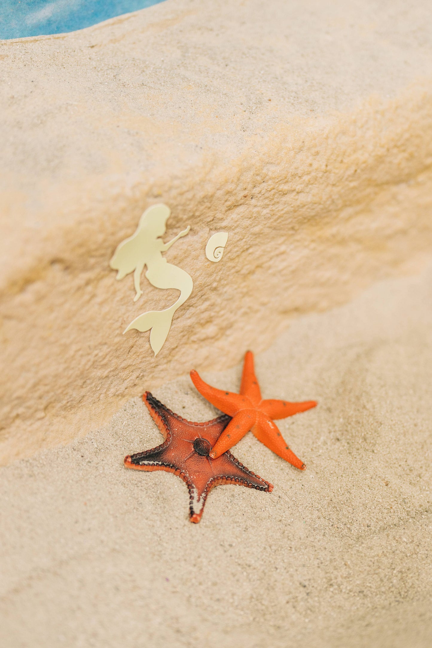 Under the Sea