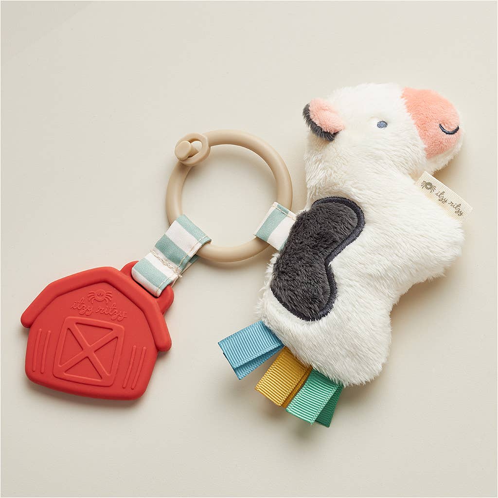 Itzy Pal™ Plush + Teether