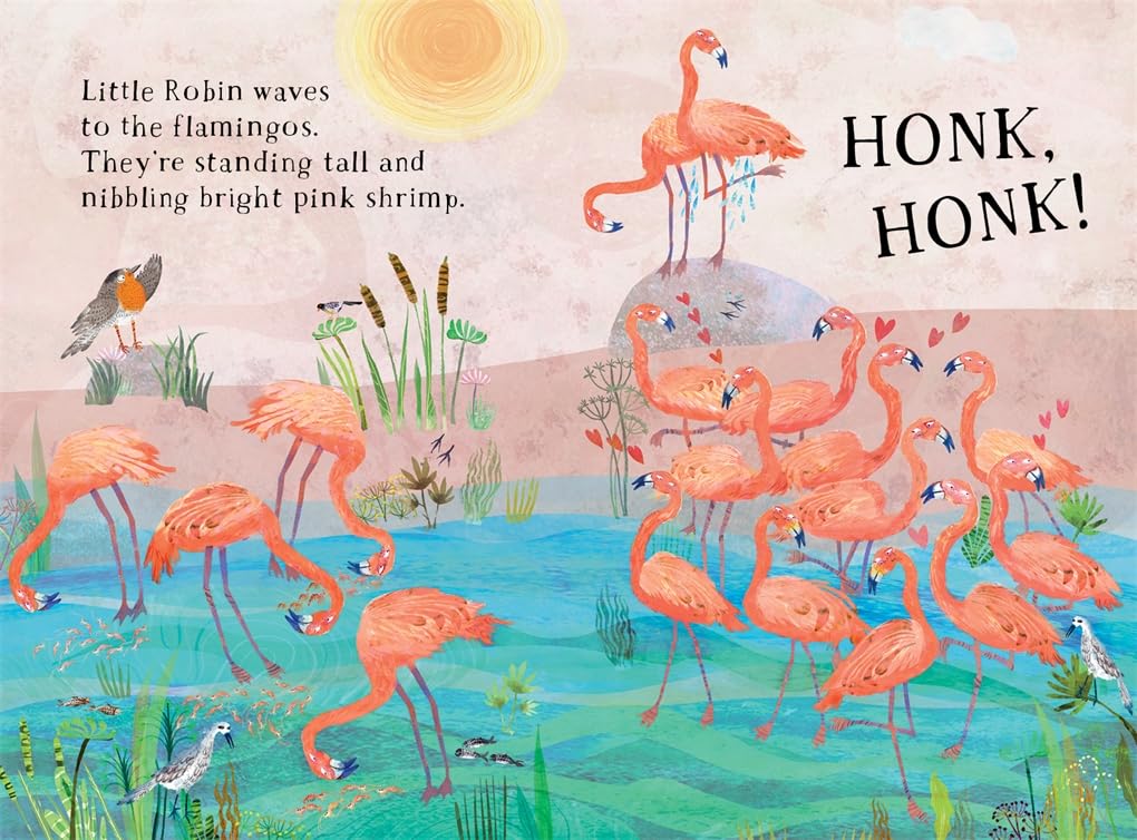 Little Robin's Book of the Birds