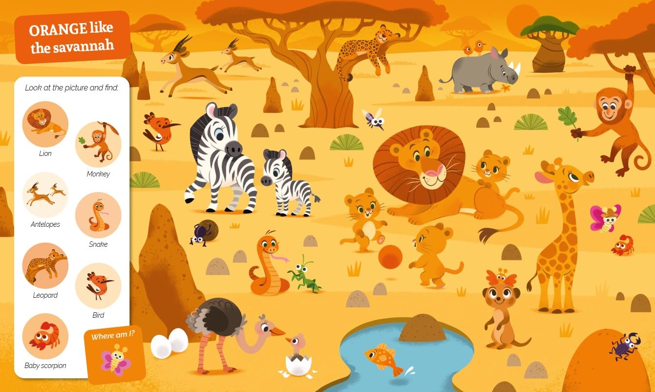 Seek-and-Find Little Ones Colours