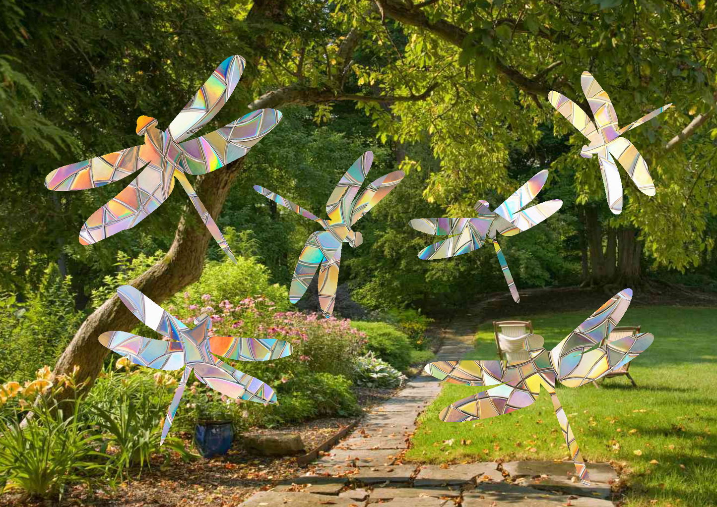Dragonfly Shape Suncatcher Pack