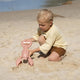 Sand Claws Lobster Coral