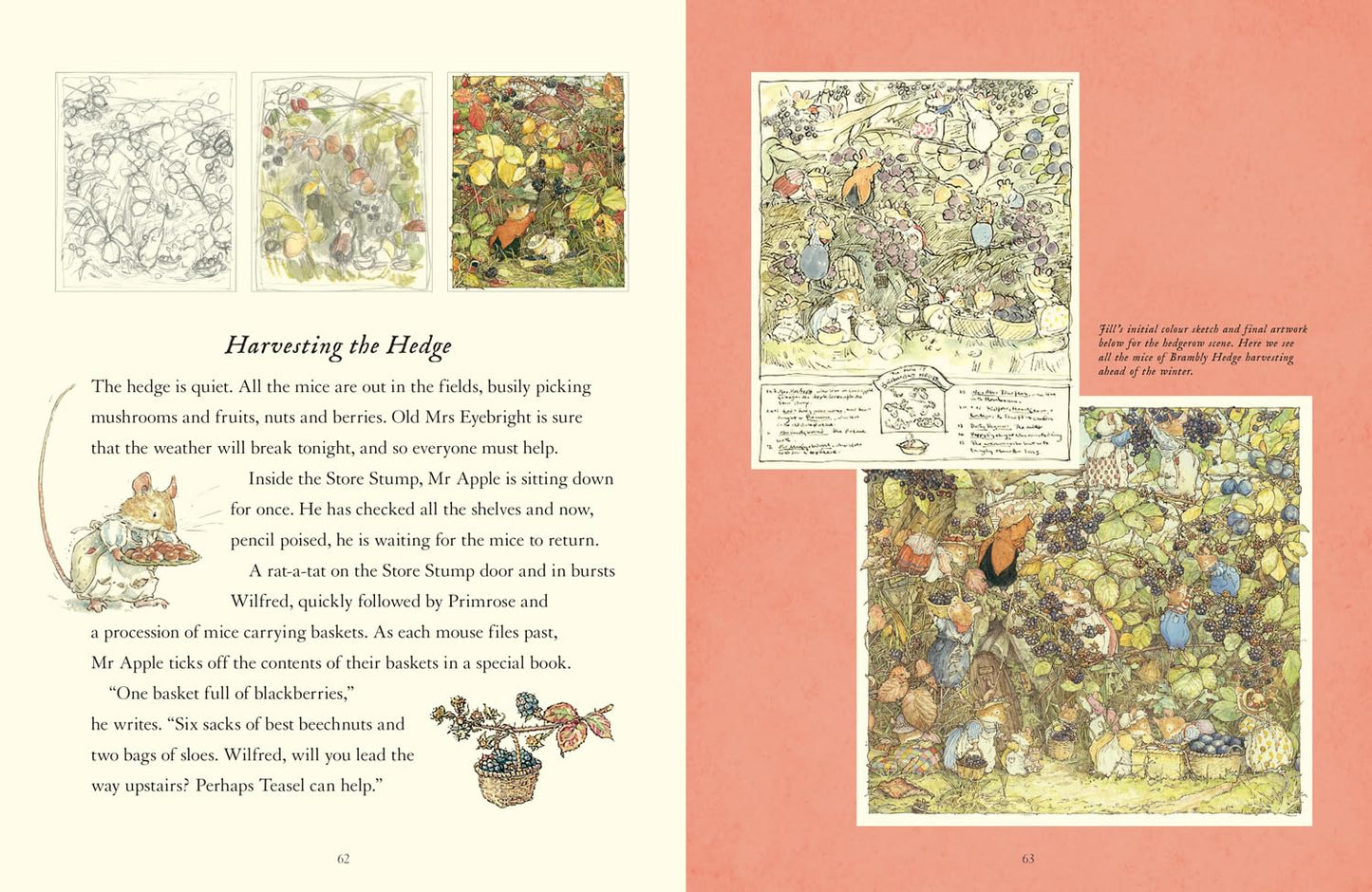 A Visit to Brambly Hedge: Imagining the World within the Hedgerow