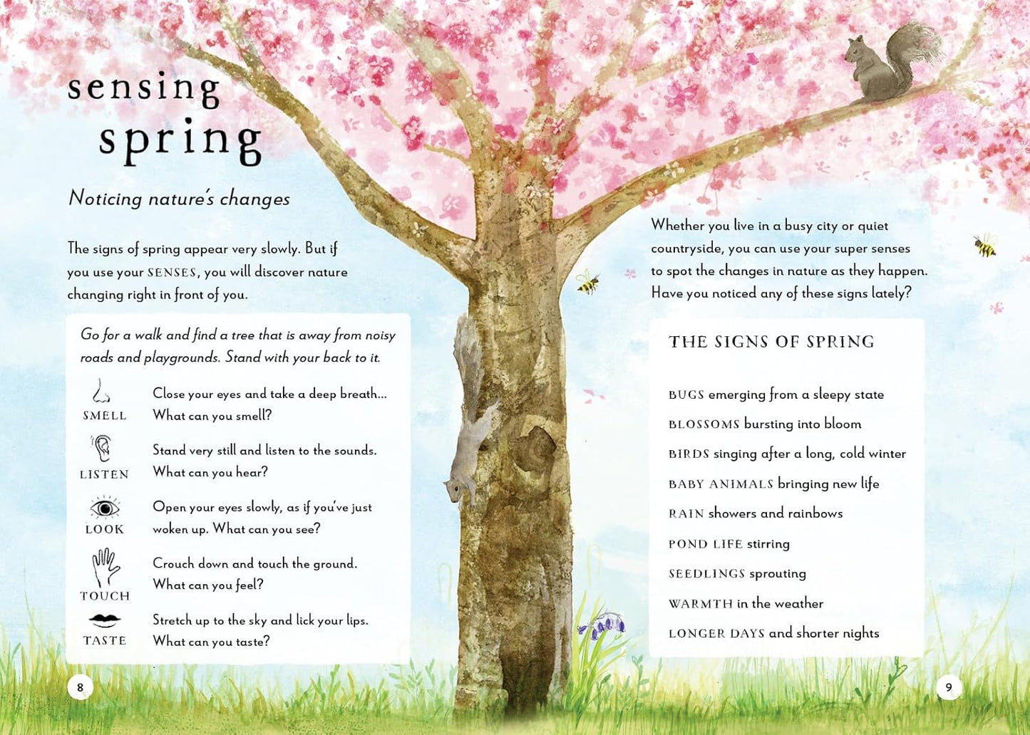 A Field Guide to Spring: Play and Learn in Nature