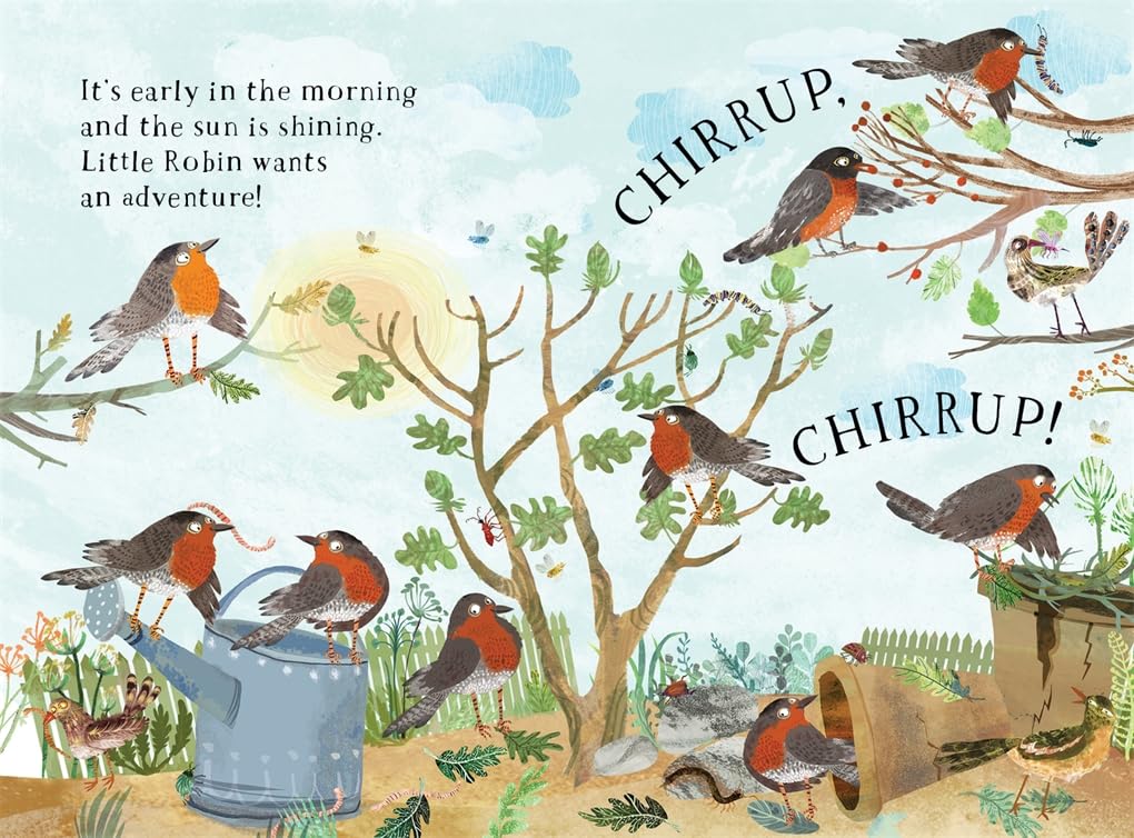 Little Robin's Book of the Birds