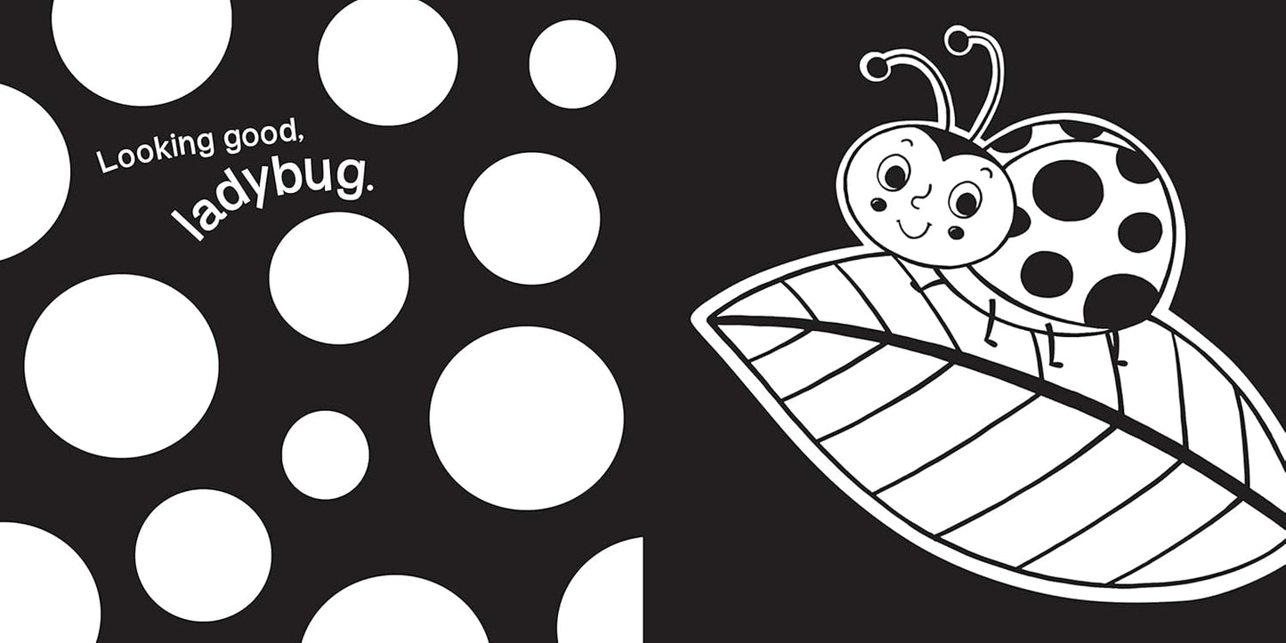 Hello, Garden Bugs: A High-Contrast Board Book