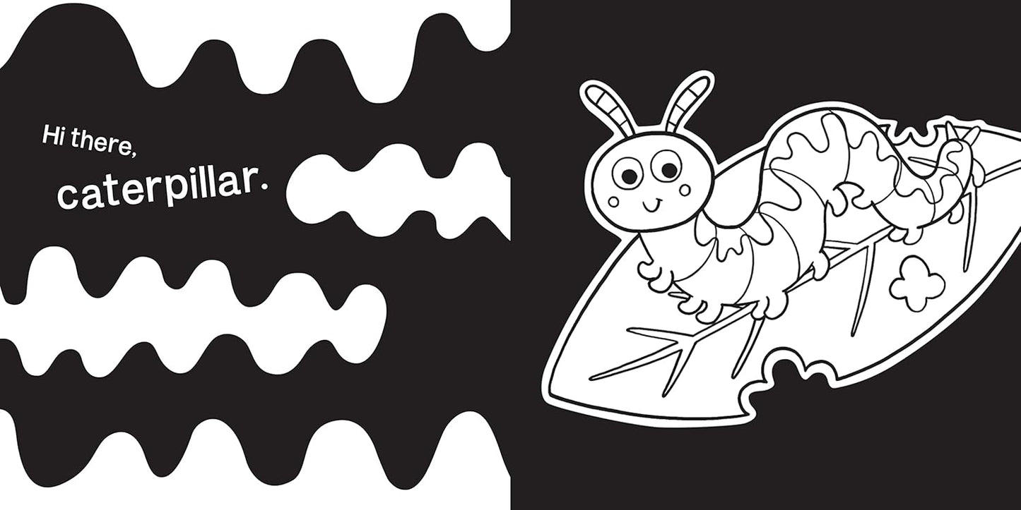 Hello, Garden Bugs: A High-Contrast Board Book