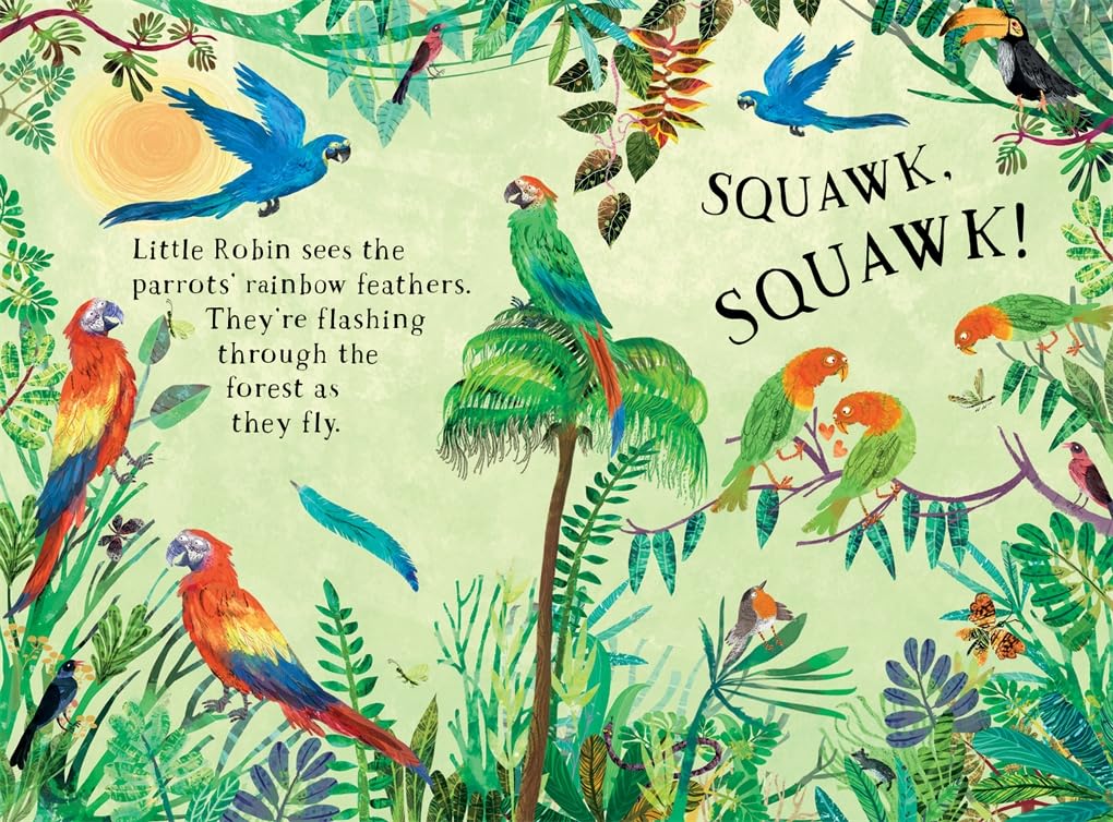 Little Robin's Book of the Birds