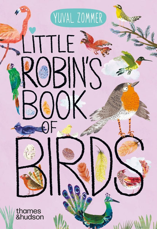Little Robin's Book of the Birds