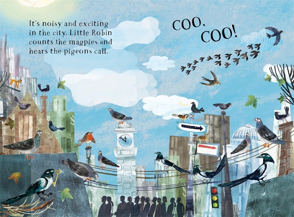 Little Robin's Book of the Birds