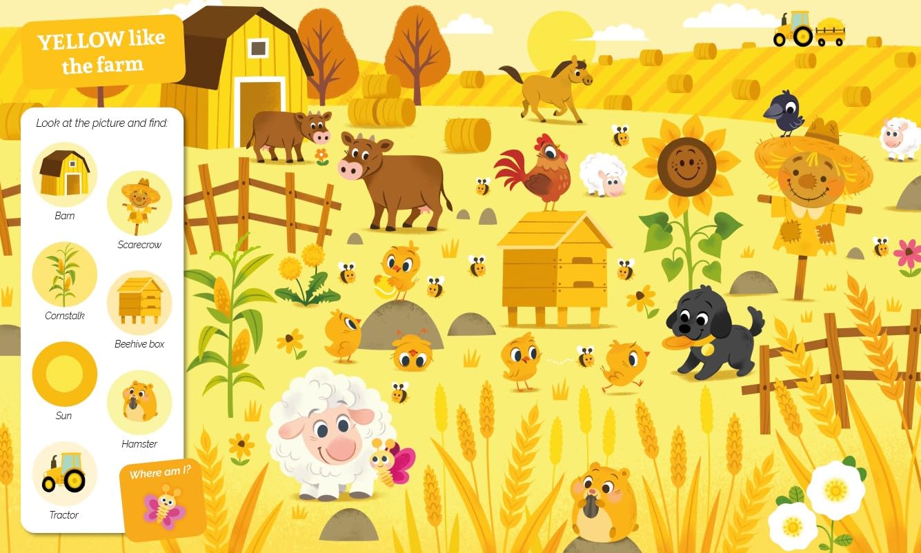 Seek-and-Find Little Ones Colours
