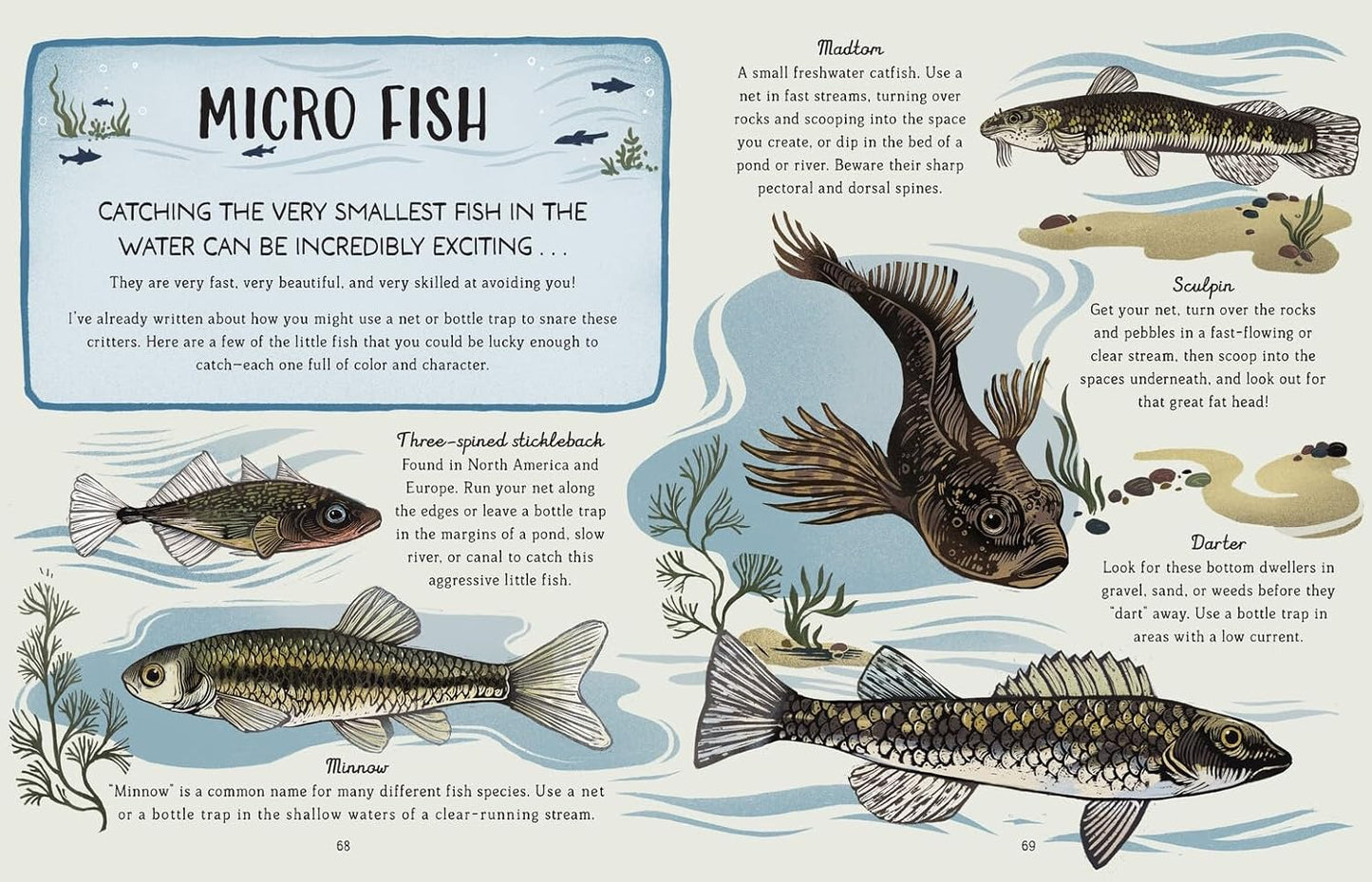 My First Day Fishing A Beginner's Guide