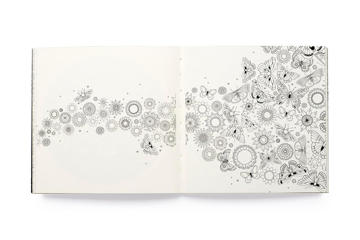 Miniature Secret Garden: A pocket-sized coloring book