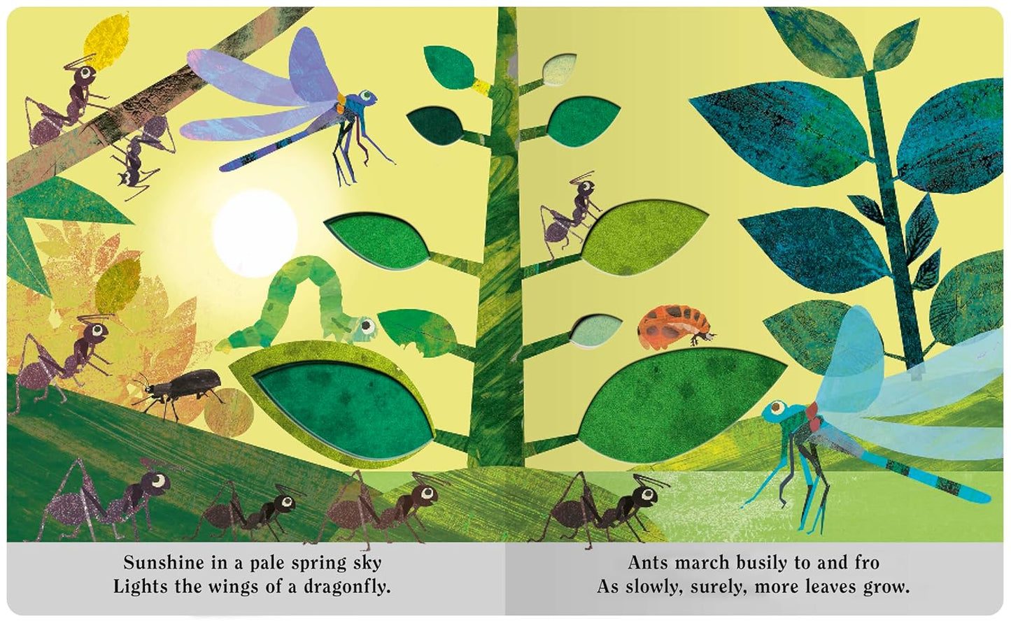 Bugs A Peek-Through Board Book
