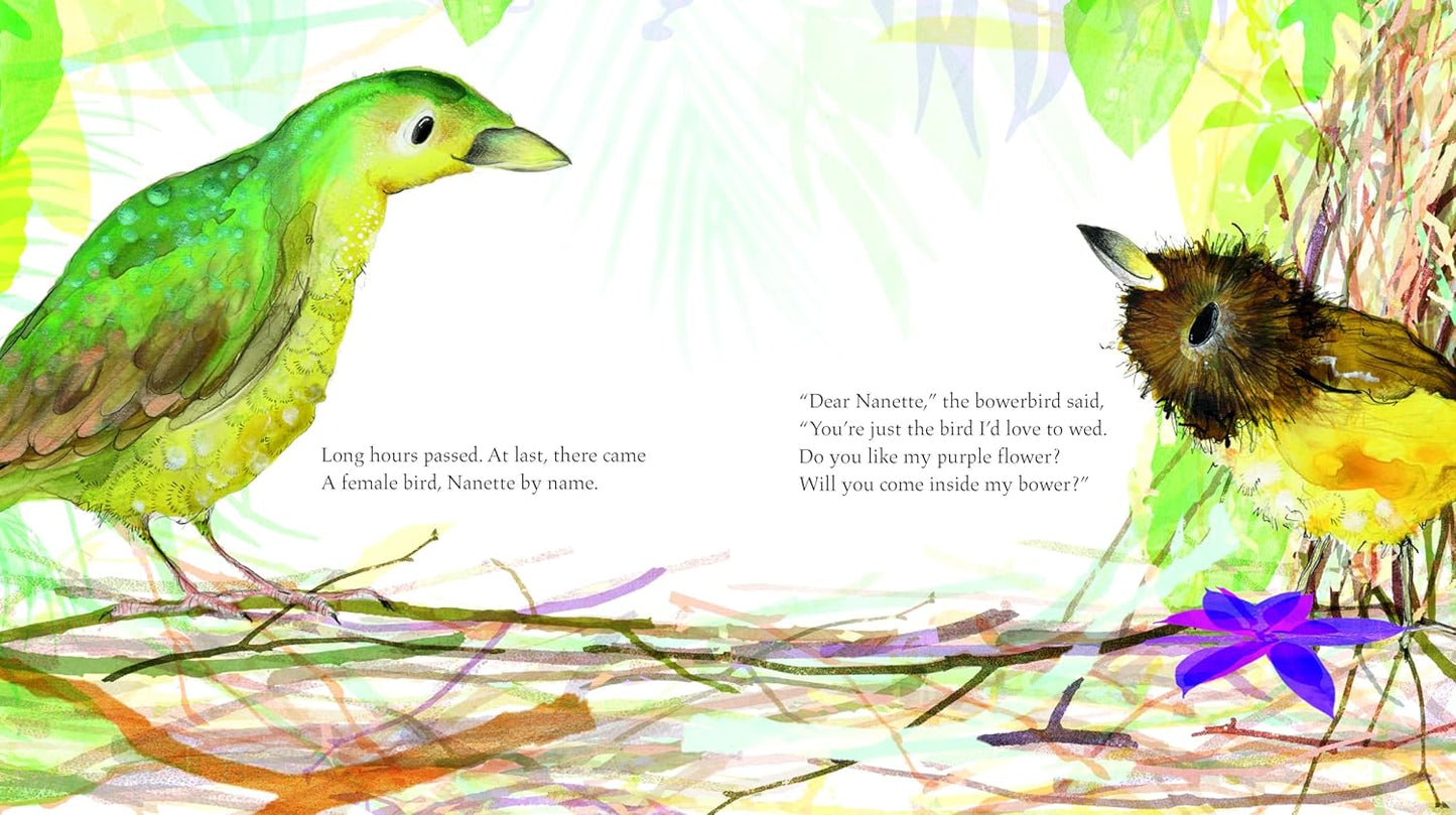 Bowerbird - Paperback