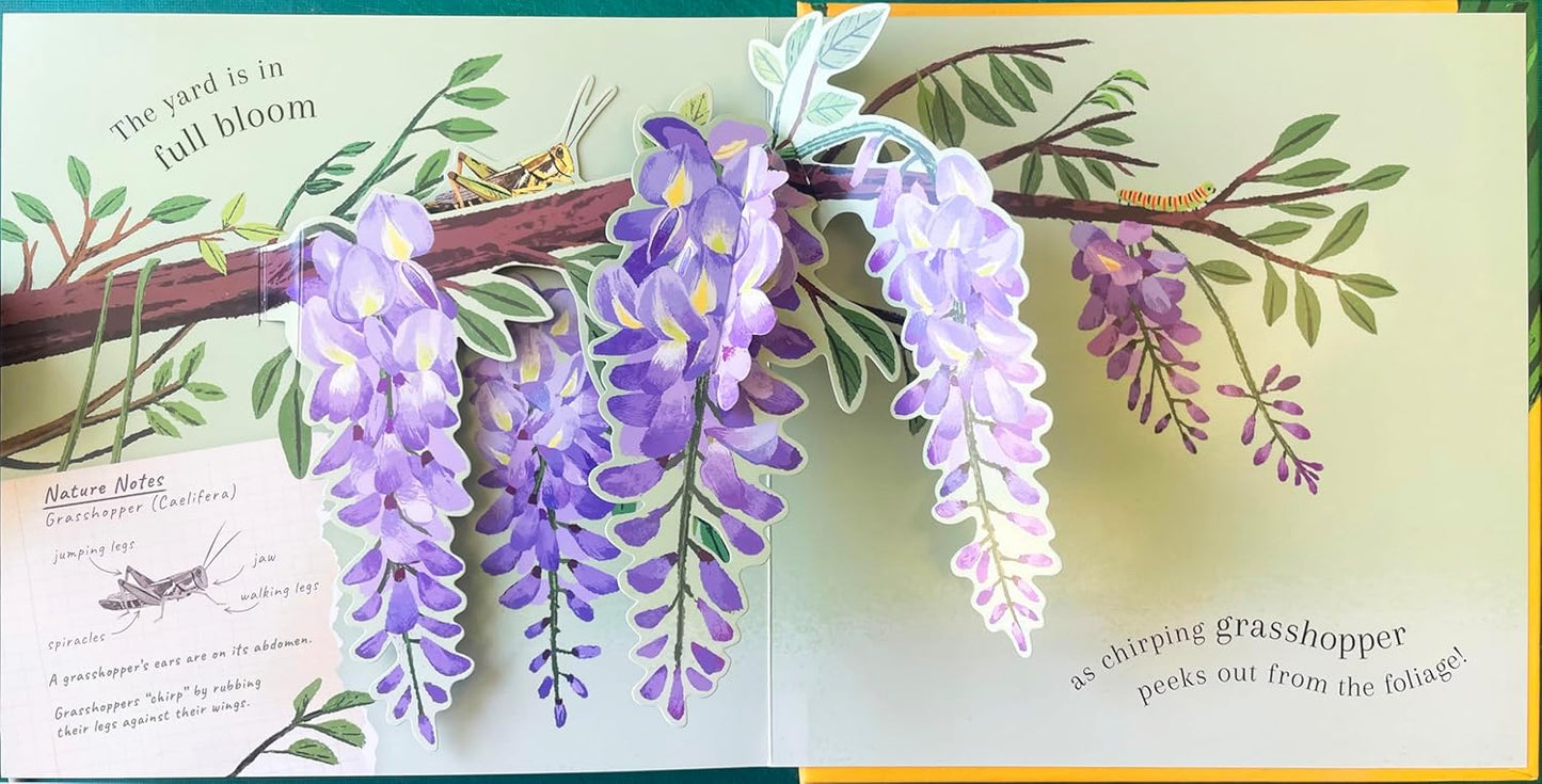Beautiful Bugs Nature Pop-ups