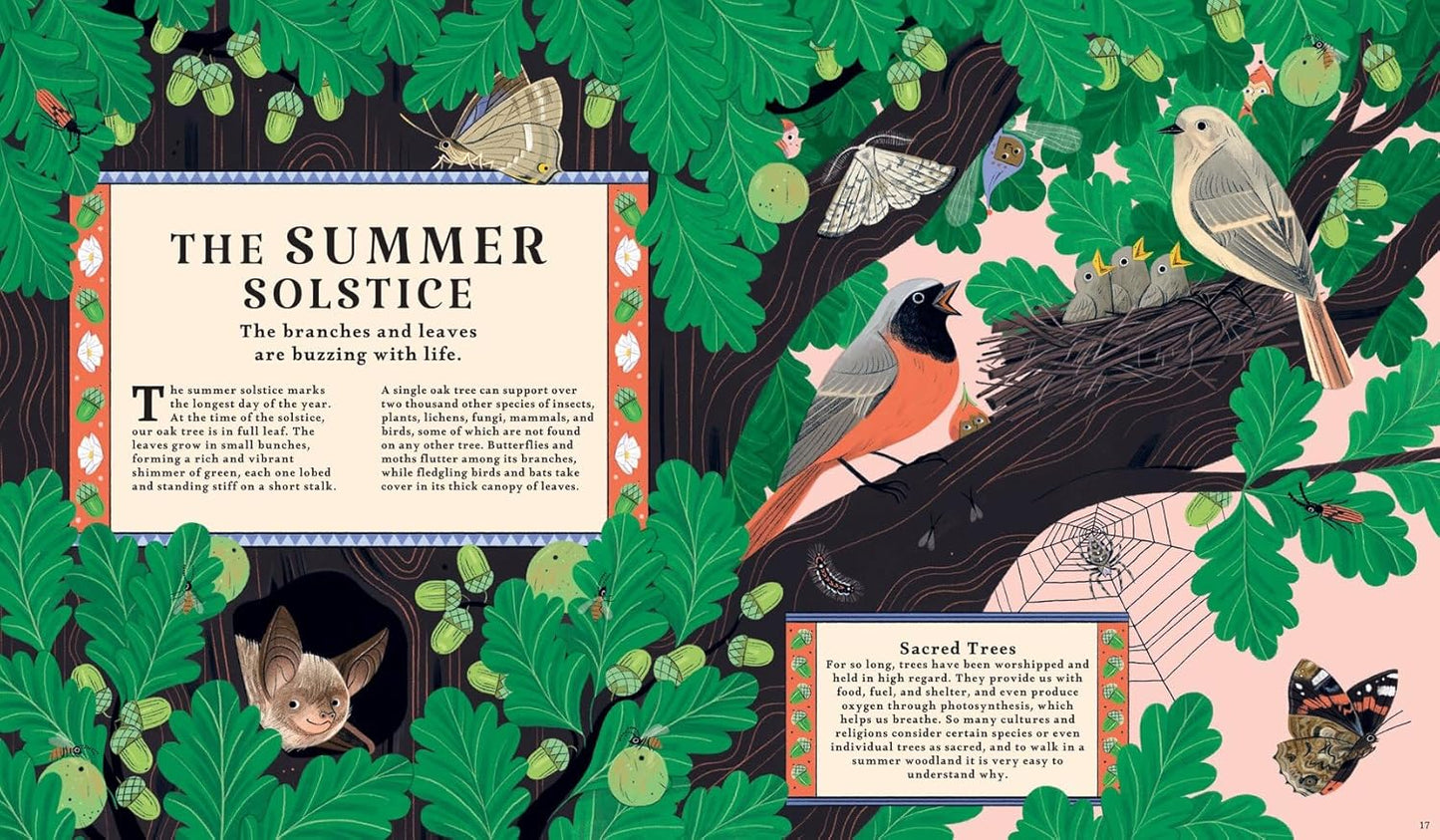 Woodlore Discover the Seasons and Stories of the Forest