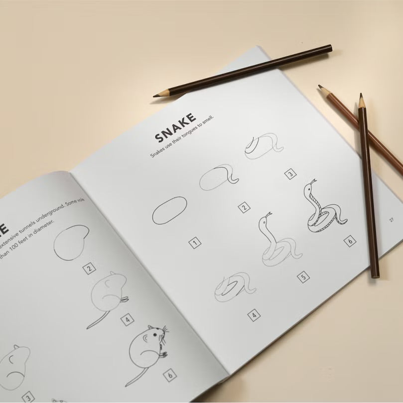 How to Draw Woodland Creatures for Kids