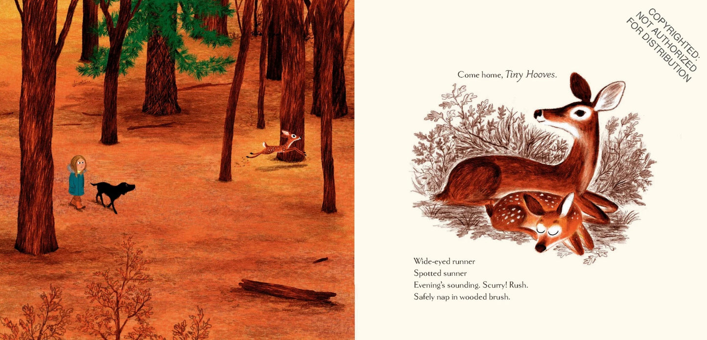 Woodland Dreams