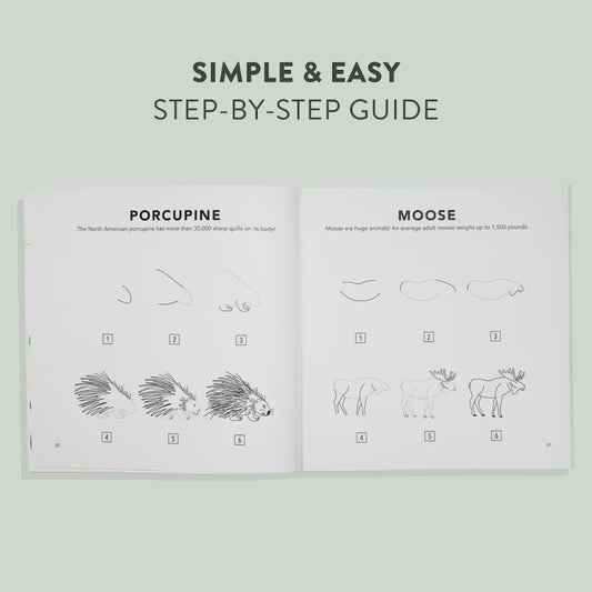 How to Draw Woodland Creatures for Kids