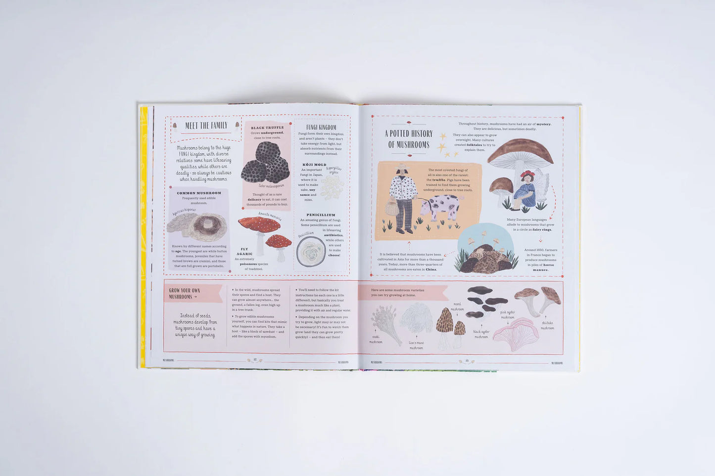 Grow: A Family Guide to Plants and How to Grow Them