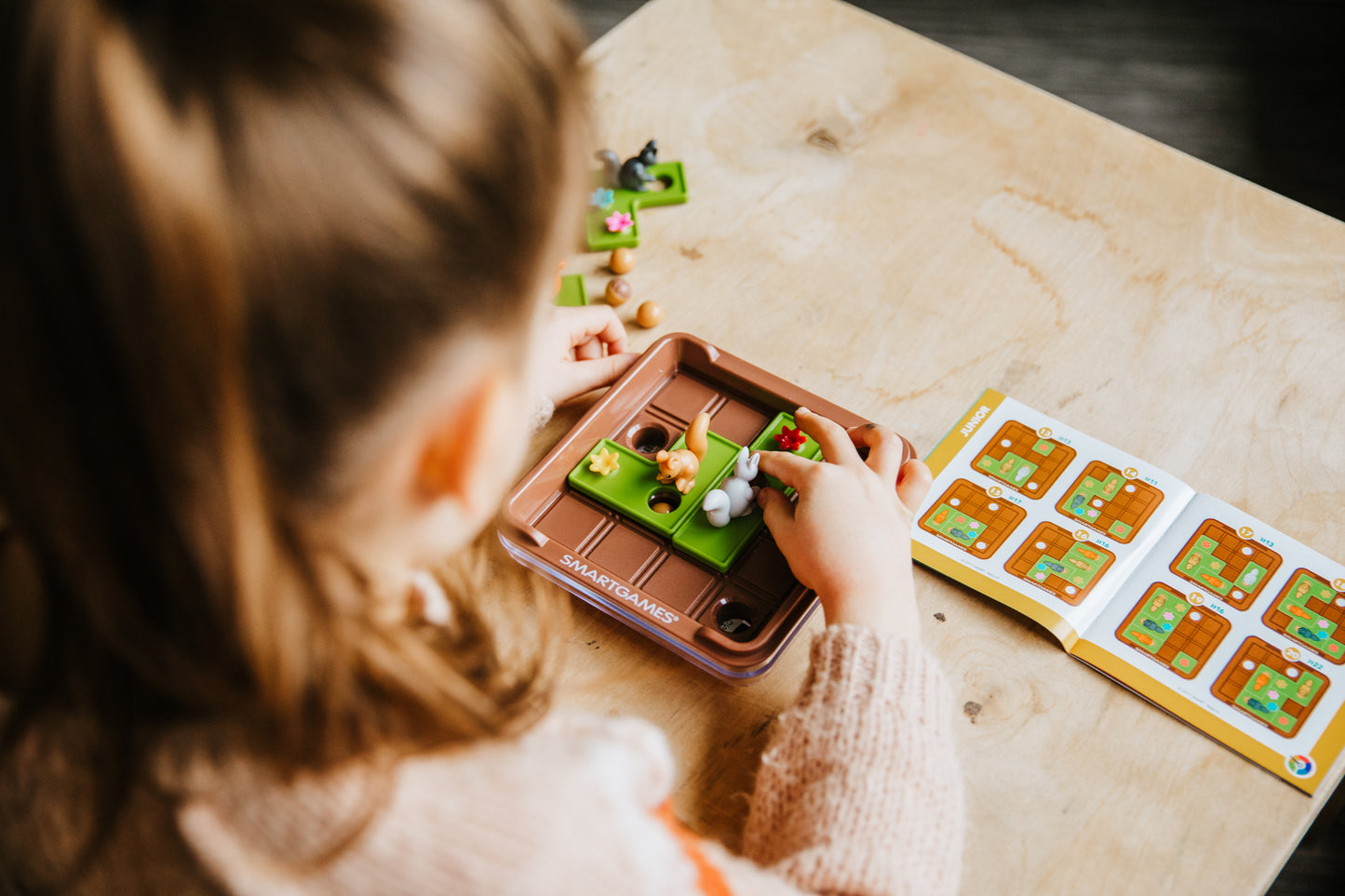 Smart Games Squirrels Go Nuts