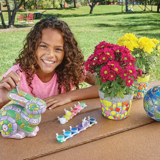 Paint-Your-Own Stone Collection